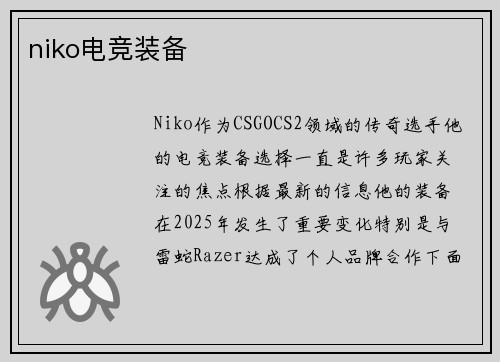 niko电竞装备